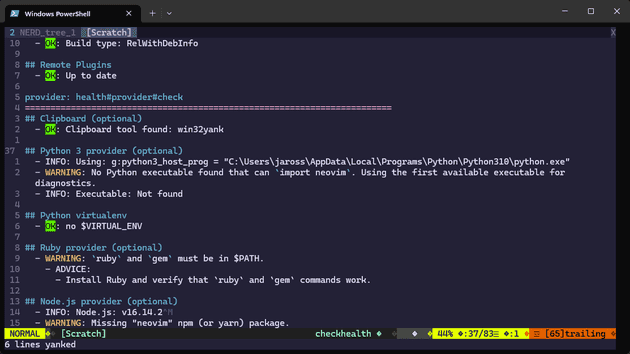 Vim health check cannot find Python and shows a warning about import neovim